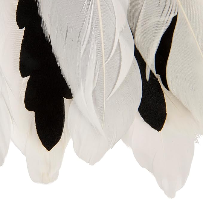 SmartyKat Instincts HappyNip Zingy Zebra Feathered Toss & Chase Interactive Cat Toy, Contains Catnip & Silvervine - White/Black, One Size