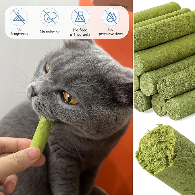HavenJanny 100g Cat Grass Teething Stick, Freezed Drying Cat Grass Sticks Snacks for Cats, Edible Cats Treats for Teeth Cleaning and Hairball Removal