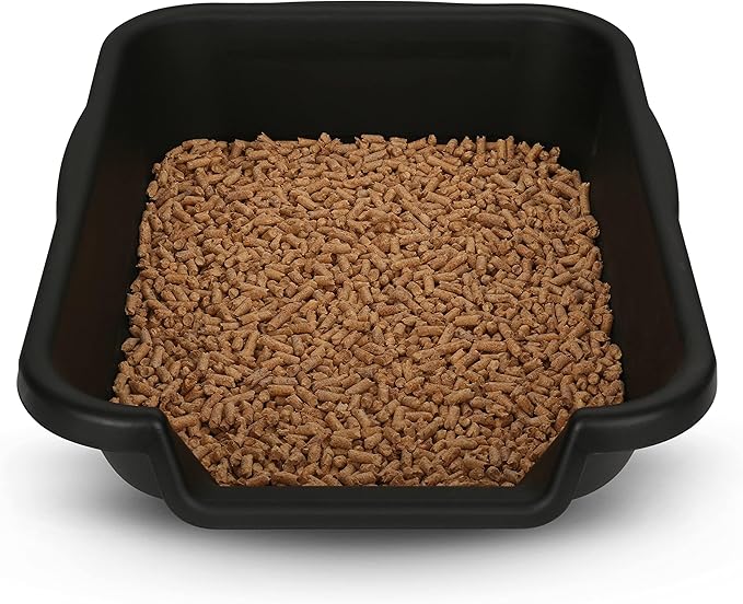 KittyGoHere Senior Cat Litter Box 2 Pack, Small Black Low Entrance Kitty Litter Box, Sized for Cats Comfort, Perfect for Senior and Arthritic Cats, Made in USA – Includes Long-Handle Jumbo Scoop