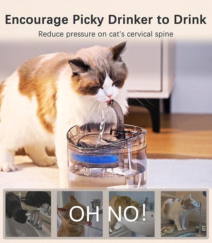 Cat Water Fountain Animal Water Dispenser 61OZ/1.8L Automatic Pet Drinking Fountain with 3 Filter Replacement 1 Pump 1 Cleaning Brush kit 1 Silicone Food Mat 1 Adapter for Cats Kitty Indoor