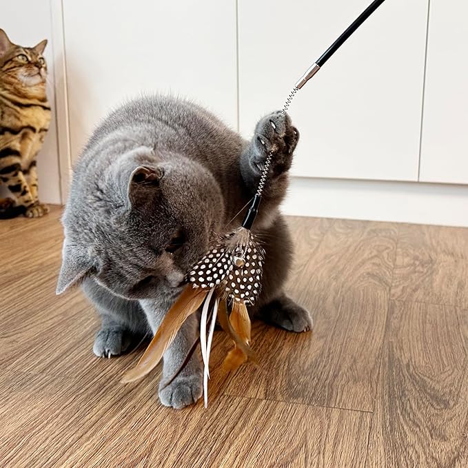 TTcat Cat Wand Toys,Flexible Spring and 4PCS Feather Refills,Teaser Toy,Interactive Toys for Indoor Cats and Kitten to Play Chase Exercise.