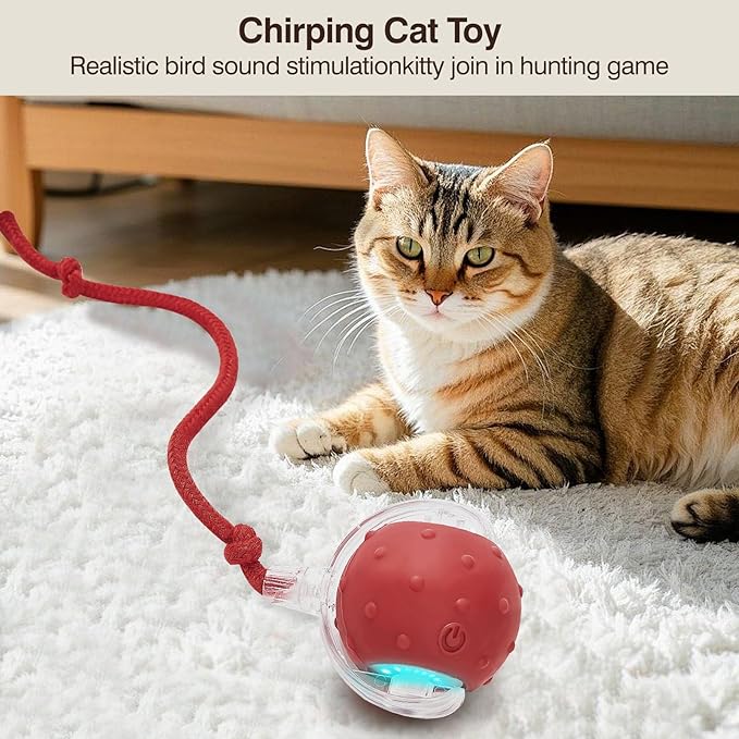 Electric Interactive Cat Toy Ball - Automatic Rolling Silicone Cat Toys for Indoor Cats, Durable Chew-Proof Motorized Kitty Ball with LED Light, Fun Exercise Toys for Bored Kittens(red)