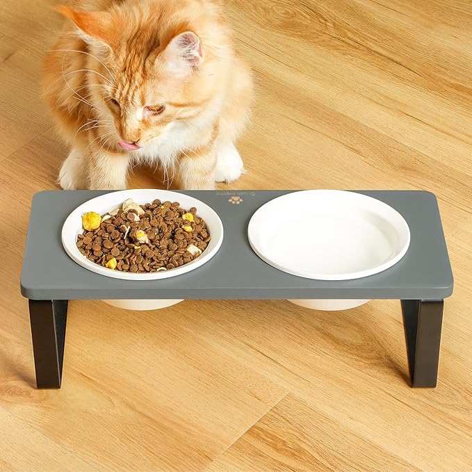 Sunhoo Ceramic Elevated Cat Bowls Raised Puppy Dishes for Food and Water Tilted Wooden Stand for Indoor Cats 5.5 inch Wide Double Dish Orthopedic Reduces Vomiting (Grey)