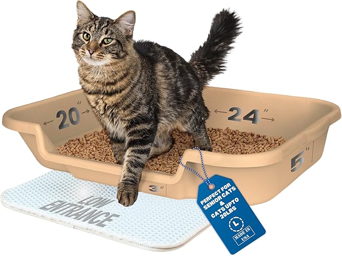 KittyGoHere Senior Cat Litter Box 1 Pack, Large Beach Sand Low Entrance Kitty Litter Box, Sized for Cats Comfort, Perfect for Senior and Arthritic Cats, Made in USA