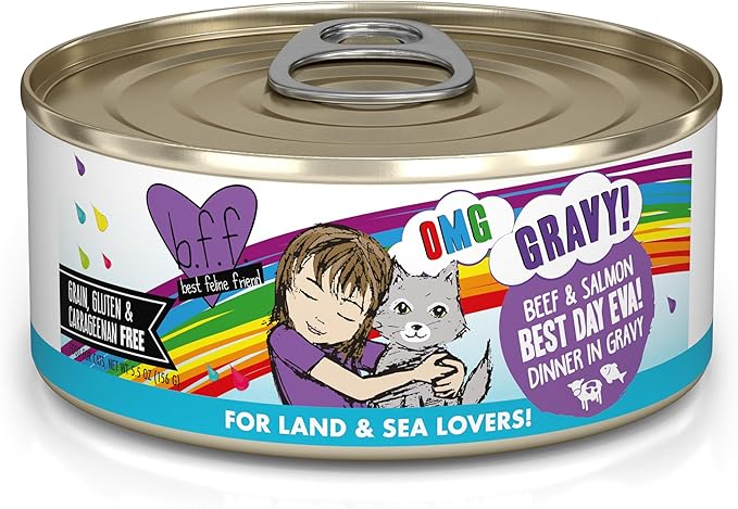 Weruva B.F.F. OMG - Best Feline Friend Oh My Gravy!, Best Day Eva! with Beef & Salmon in Gravy Cat Food, 5.5oz Can (Pack of 8)