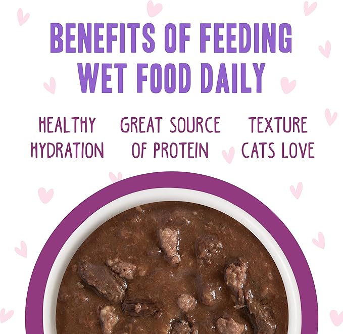 Weruva B.F.F. OMG - Best Feline Friend Oh My Gravy!, Tuna & Beef Belly Rubs with Tuna & Beef, 2.8oz Can (Pack of 12)