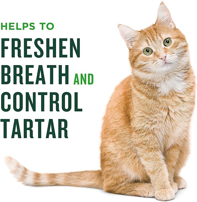 Minties Dental Treats for Cats, Chicken Flavored Treats for Cats, Freshens Breath and Controls Tartar, 2.5oz