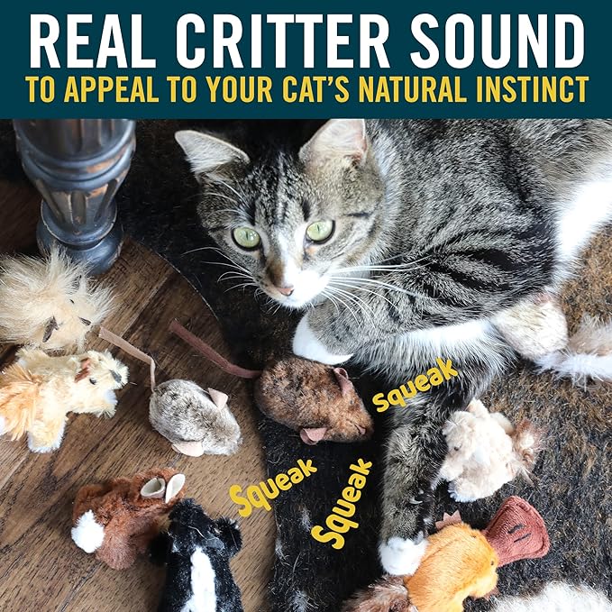 OurPets Play-N-Squeak Mouse Hunter Cat Toys (Interactive Cat Toy & Catnip Toy with Real Mouse Electronic Sound) Perfect Toys for Indoor Cats with Catnip