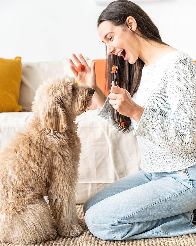 Pet Toothbrushing Assistant for Puppies' Dogs and Cats Allows You to Brush Your pet’s Teeth Without Constantly Worrying About Getting Bitten. (Orange, Medium)