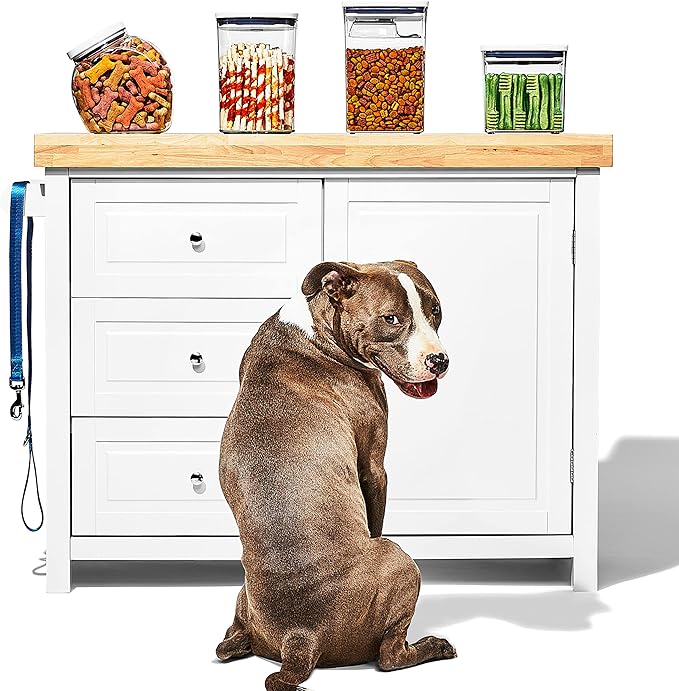 OXO Good Grips Pet POP Container – 2.8 Qt/2.6 L |Ideal for up to 3lbs of Dog Food or 2lbs of Cat Food | Airtight Storage Container | BPA Free (Pack of 8)