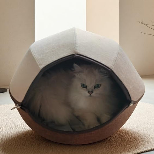 Donut Cat Tunnel Bed Peekaboo Cat Cave for Large Cats Up to 30 Lbs, Kitty Interactive Playing Tent House for Multiple Cats,Detachable,Scratch Resistant (2 in 1 Brown, Medium - 20 Inch Diameter)
