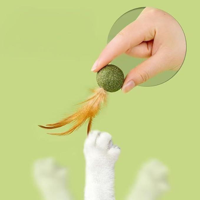 5 Pieces of Catnip Toys Ideal Catnip Ball to Stimulate Cat Exercising and Interacting Toys for Cats