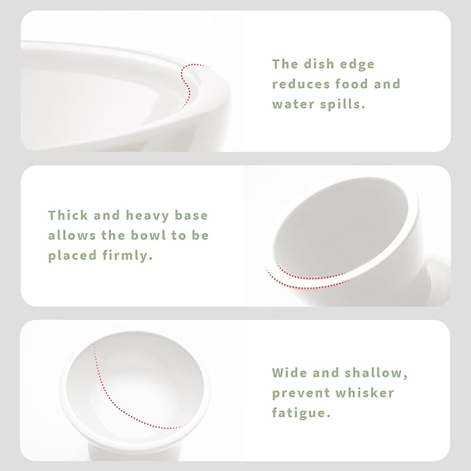 2 Elevated Ceramic Cat Bowls Extra Wide for Food & Water – Whisker Fatigue Shallow Food Dish, Lead & Cadmium-Free, Raised Height for Cats and Dogs, Two Different Depth Bowls, White