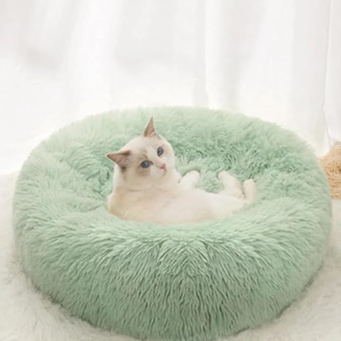 Cat Beds for Indoor Cats - Cat Bed Washable 24 inches, Dog Beds for Small Medium Dogs, Anti Anxiety Round Fluffy Plush Faux Fur Cat Bed, Thick Bottom (Light Green, Large 24" L x 24" W)