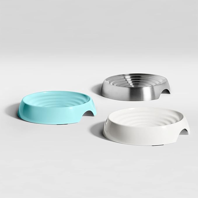 CatGuru Cat Bowls, Whisker Friendly Cat Food Bowl for Indoor Cats, Reliefs Whisker Fatigue, Wide Pet Bowl, Non Slip Pet Feeding Bowls, Shallow Kitten Dish (Stainless Steel)