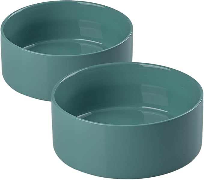 SPUNKYJUNKY 42OZ Ceramic Dog and Cat Bowl, Modern Cute Weighted Food Water Bowl for Replacement Light Green (2 Pack)