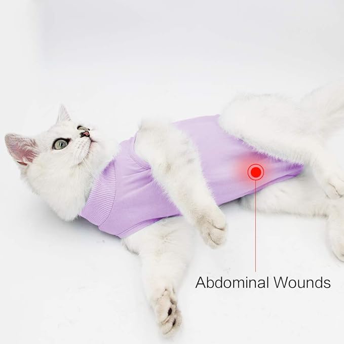 DOTON Cat Recovery Suit for Male and Female Surgical Post Surgery Soft Cone Onesie Shirt Clothes Neuter Licking Protective Diapers Outfit Cover Kitten Spay Collar(L, Purple)