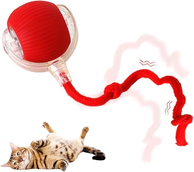 Interactive Cat Toy Balls, Cat Toys for Bored Indoor Adult Cats Peppy Pet Ball for Cats (Red)