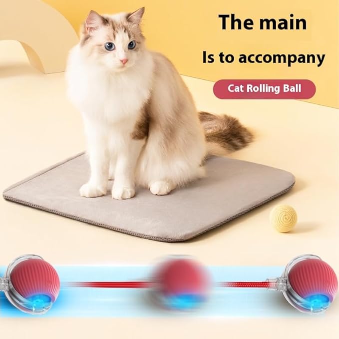 Interactive Cat Ball Toys for Indoor Cats,The 3rd Generation Agile Moving Cat Ball with Elastic Mesh Tail,Automatic Kitten Toys for Bored Indoor Adult Cats,Motion Activated (1pcs of Pack)