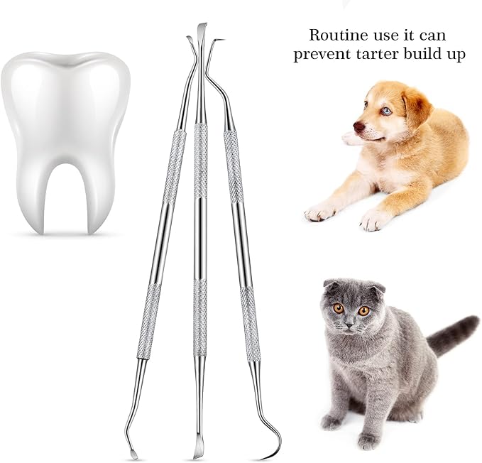 Hotop 3 Pieces Dog Dental Tooth Scaler and Scraper Stainless Double Headed Tarter Removing Tool Scraper Pet Teeth Cleaning Tools for Dog and Cat (Silver)