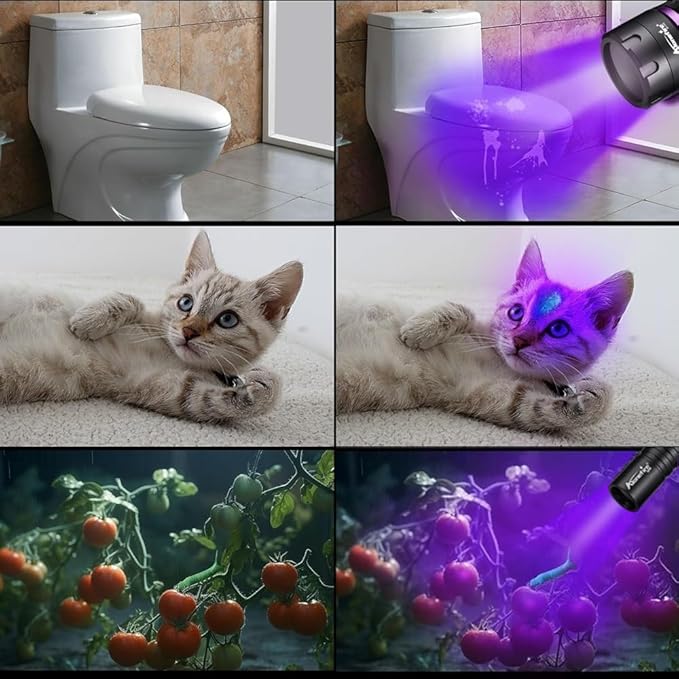 ALONEFIRE SV115 365nm UV Flashlight 30W Powerful Blacklight USB C Rechargeable Black Light for Pet Urine Detector, Scorpion, Resin, Bed Bug, Fishing with UV Protective Glasses, Rechargeable Battery