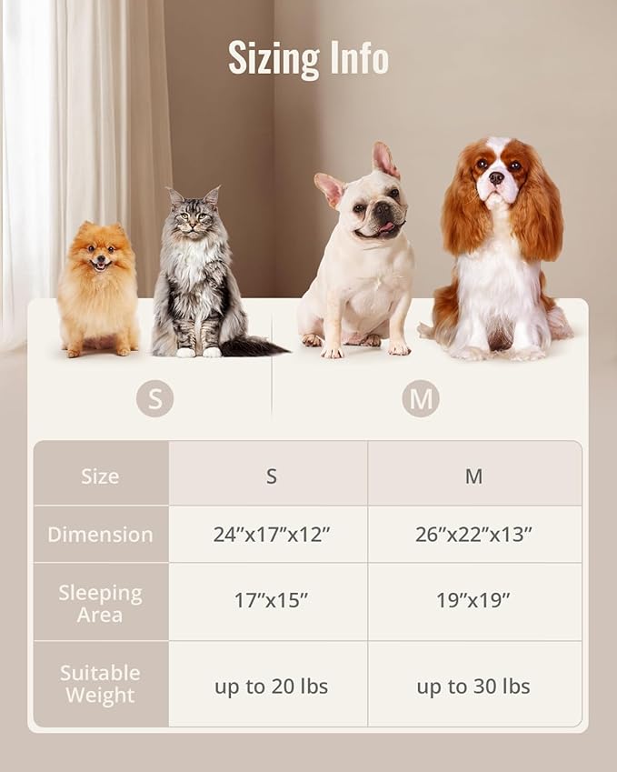 Blissful Diary Foam Dog Bed Medium Size, Pet Sofa with Washable Cover and Waterproof Liner, Soft Teddy Plush with Rainbow Design (Blue)