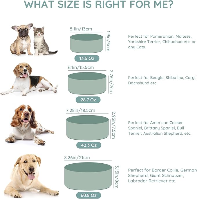 SPUNKYJUNKY 42OZ Ceramic Dog and Cat Bowl, Modern Cute Weighted Food Water Bowl for Replacement Morandi Green (2 Pack)