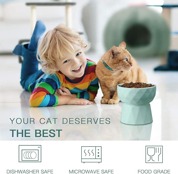 Frewinky Ceramic Cat Bowls Anti-Vomiting - Raised Food and Water Bowl Set for Cats and Small Dogs, 13.5 Oz, Green