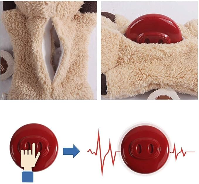 ALL FOR PAWS Cat Toys for Indoor Cats, Purring Cat, Catnip Toys, Cat Plush Toy, Cat Pillow, Anxiety Toys, Kitten Toys, Pet Toy