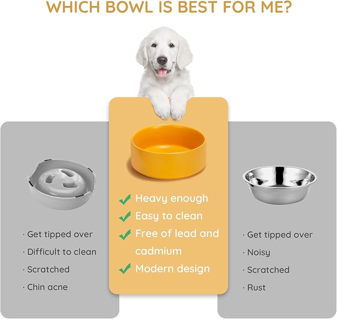 SPUNKYJUNKY 28.7OZ Ceramic Dog and Cat Bowl, Modern Cute Weighted Food Water Bowl for Replacement Yellow (1 Pack)