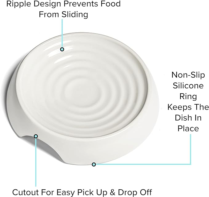 CatGuru Cat Bowls, Whisker Friendly Cat Food Bowl for Indoor Cats, Reliefs Whisker Fatigue, Wide Pet Bowl, Non Slip Pet Feeding Bowls, Shallow Kitten Dish (Ceramic, White)