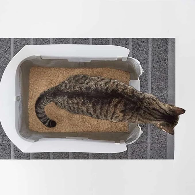 Modkat® Litter Tray, Extra Tall Base, Pee Shield, Reusable Litter Liner, Sifting Litter Scoop - Gray