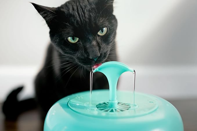 PURRoducts Purrfect Water Fountain for Cats and Small Dogs with Premium 5-Layer Filter That Lasts Up to Two Months. Splash Free and Tip-Proof Design. Low Water Auto Shut-Off Feature.
