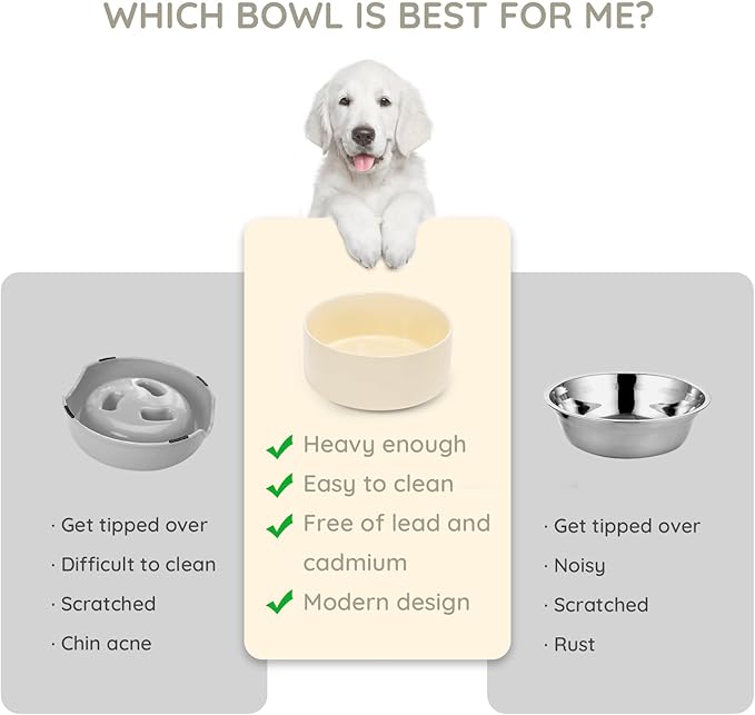 SPUNKYJUNKY 42OZ Ceramic Dog and Cat Bowl, Modern Cute Weighted Food Water Bowl for Replacement Beige (1 Pack)