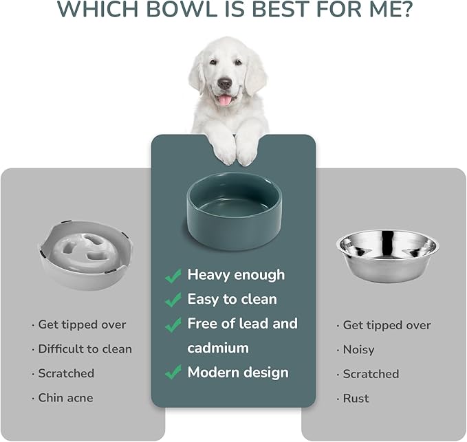 SPUNKYJUNKY 13.5OZ Ceramic Dog and Cat Bowl, Modern Cute Weighted Food Water Bowl for Replacement Light Green (1 Pack)