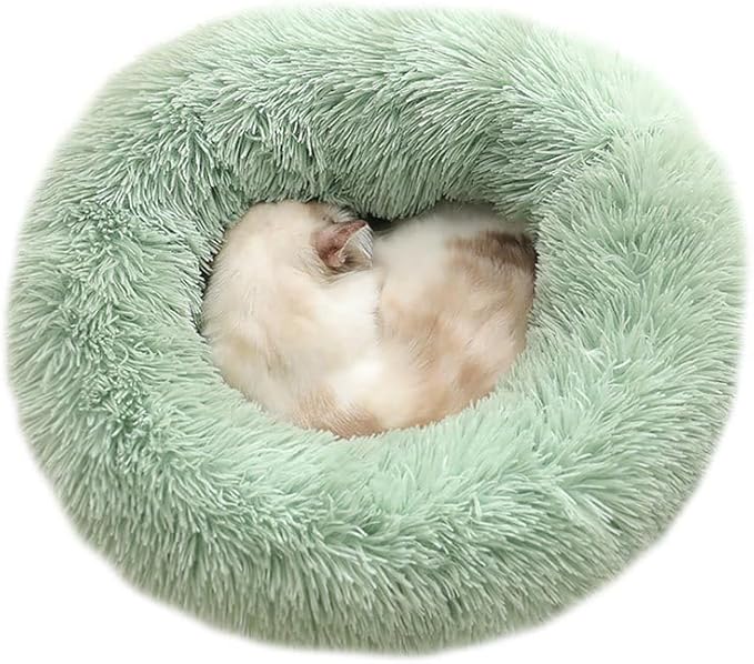 Cat Beds for Indoor Cats - Cat Bed Washable 24 inches, Dog Beds for Small Medium Dogs, Anti Anxiety Round Fluffy Plush Faux Fur Cat Bed, Thick Bottom (Light Green, Large 24" L x 24" W)