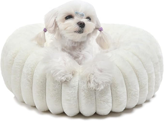 Small Cat Beds for Indoor Cats - Washable Round Kitten Bed, Cute Pumpkin Shape, Comfy Sleeping for Puppy, Small Dogs, Kitty - 19 Inch, Cream