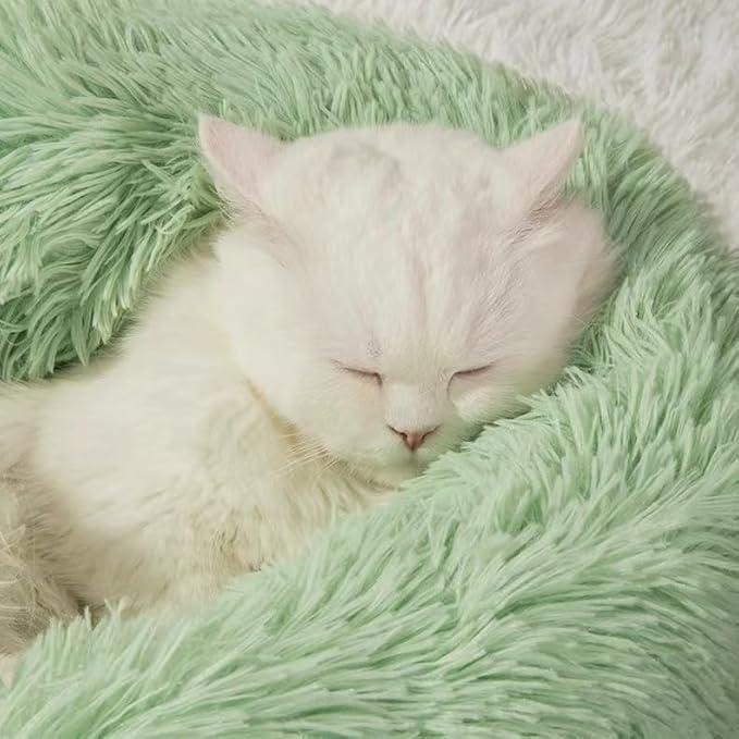 Cat Bed & Washable 20/24 inches - Anti Anxiety Round Fluffy Plush Faux Fur Dog Bed for Small Medium Dogs, Thick Bottom (Green, Medium)