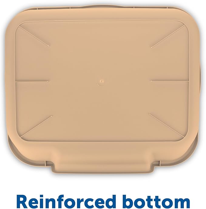 KittyGoHere Senior Cat Litter Box 2 Pack, Large Beach Sand Low Entrance Kitty Litter Box, Sized for Cats Comfort, Perfect for Senior and Arthritic Cats, Made in USA – Includes Long-Handle Jumbo Scoop