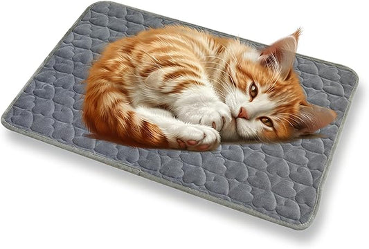 Dog Bed Mat 24"x17" Love Heart Shaped Crate Mat Fluffy Soft Washable Pet Pad Blanket for Indoor Bed Couch Sofa Floors Cat and Dogs Sleeping Mattress (Gray)