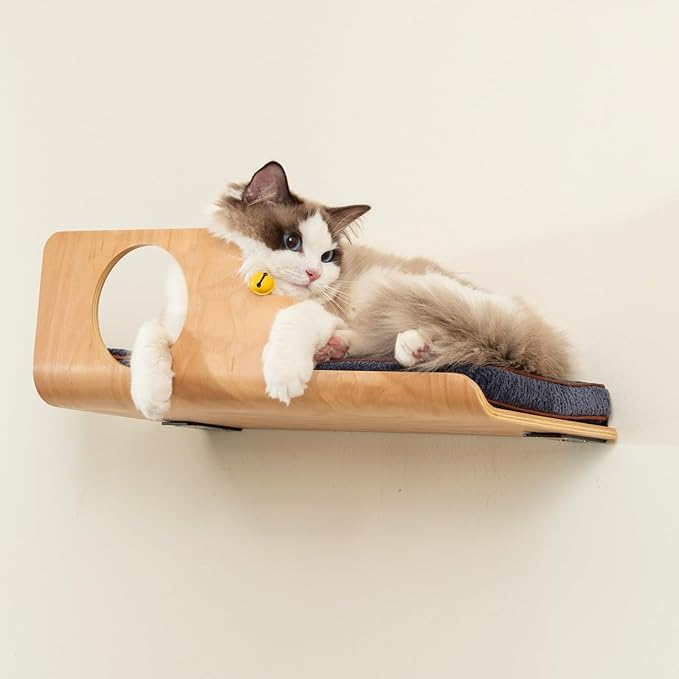 Cat Wall Shelves, Creative Design Cat Shelf with Peephole, 19 x 10 inch Cats Wall Furniture with Comfortable Pad, Cats Perch for Sleeping, Playing, and Scratching.