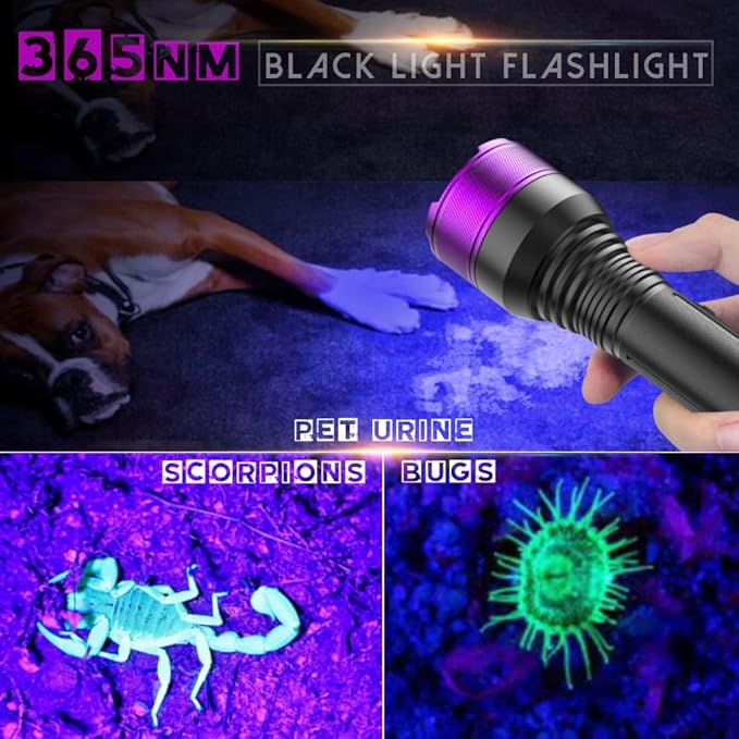 365NM UV Blacklight Flashlight, 4-core Filtered LED, High Power and Long Range Professional Grade Beam for Yooperlite Hunting, Detection of Pet Urine, Resins and Professional Applications