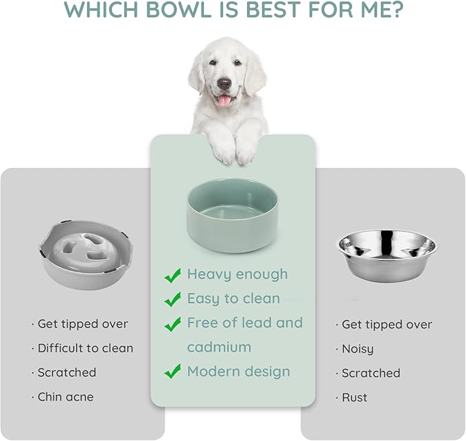 SPUNKYJUNKY 42OZ Ceramic Dog and Cat Bowl, Modern Cute Weighted Food Water Bowl for Replacement Morandi Green (2 Pack)