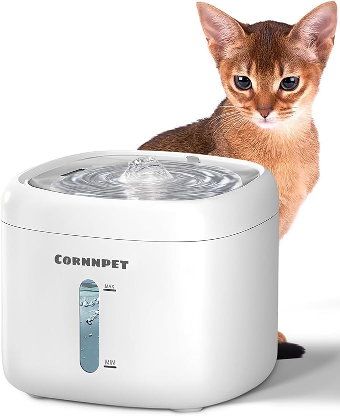Stainless Steel Lid Cat Water Fountain 74Oz/2.2L for Drinking - Pet Fountain for Small Animal - Dogs Waterer Bowls Indoor