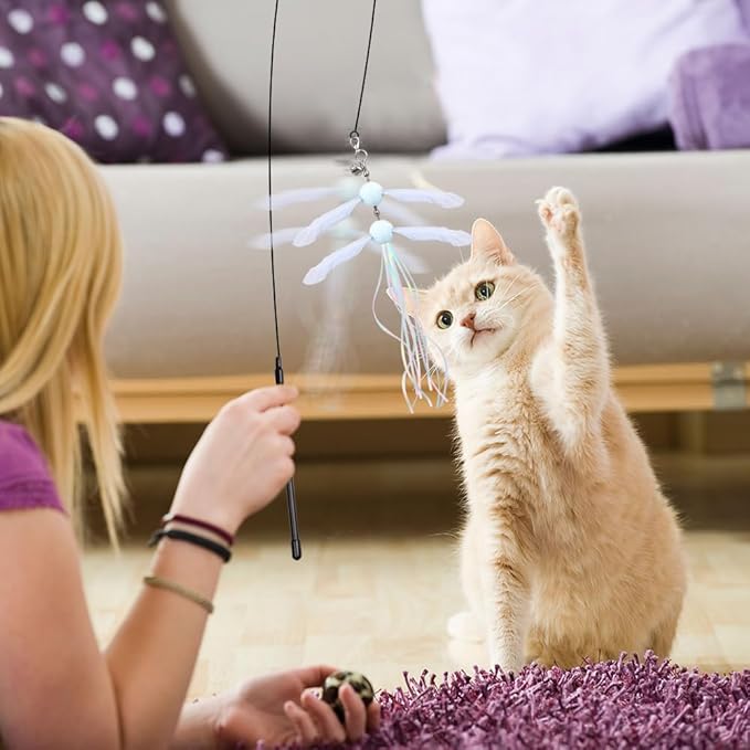 PAZ'S GIFT Cat Wand Toys, Interactive cat Feather Teaser Wand Toy with 2 Replacement Heads, Indoor cat Stick Toys