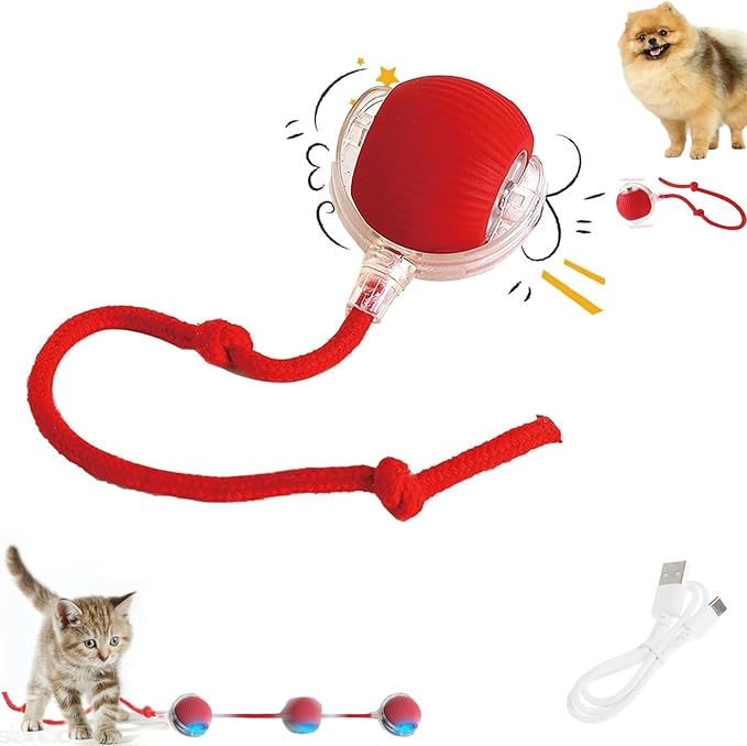 Interactive Dog Cat Toy Ball, Automatic Moving Bouncing Rolling, with 3 Mode Adjustable Speed, Pet Smart Chase Ball Rechargeable, Enrichment Toys for Bored Indoor Adult Cats/Dogs