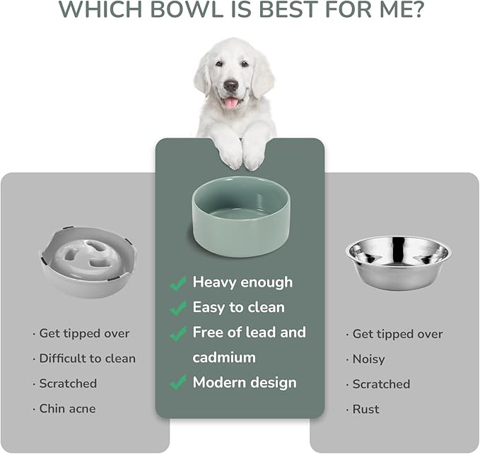 SPUNKYJUNKY 28.7OZ Ceramic Dog and Cat Bowl, Modern Cute Weighted Food Water Bowl for Replacement Morandi Green (1 Pack)