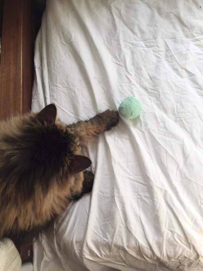 Cat Toys Ball Cat Toys Balls with Bell Eco-Printing Baby Clothing