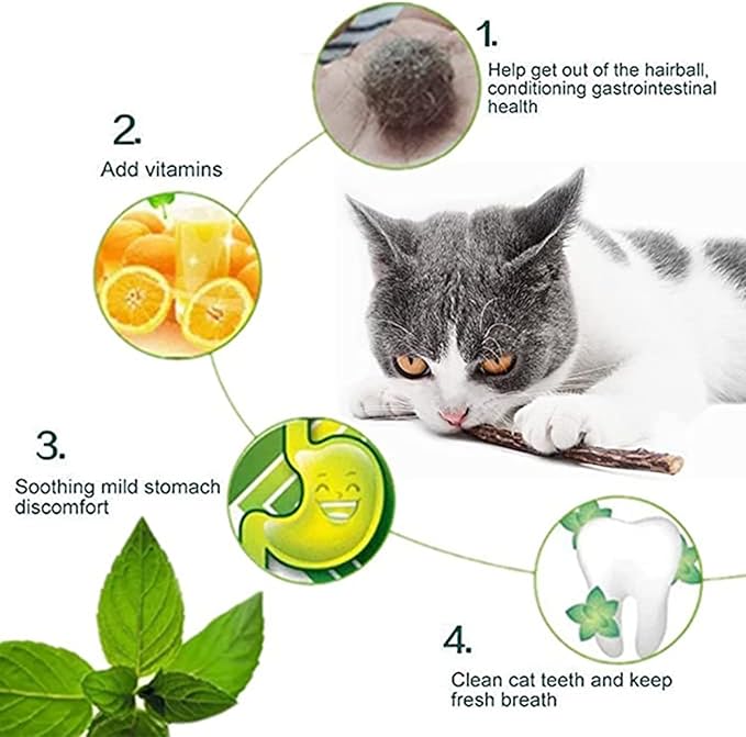 10 PCS Catnip Sticks Organic Cat Chew Toys Natural Plant Matatabi Silvervine Chew Sticks Cat Teeth Cleaning Chew Toy Cat Kitten Kitty 1