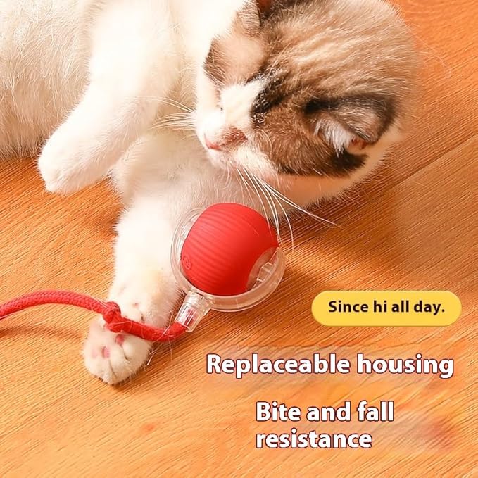 Interactive Cat Ball Toys for Indoor Cats,The 3rd Generation Agile Moving Cat Ball with Elastic Mesh Tail,Automatic Kitten Toys for Bored Indoor Adult Cats,Motion Activated (1pcs of Pack)